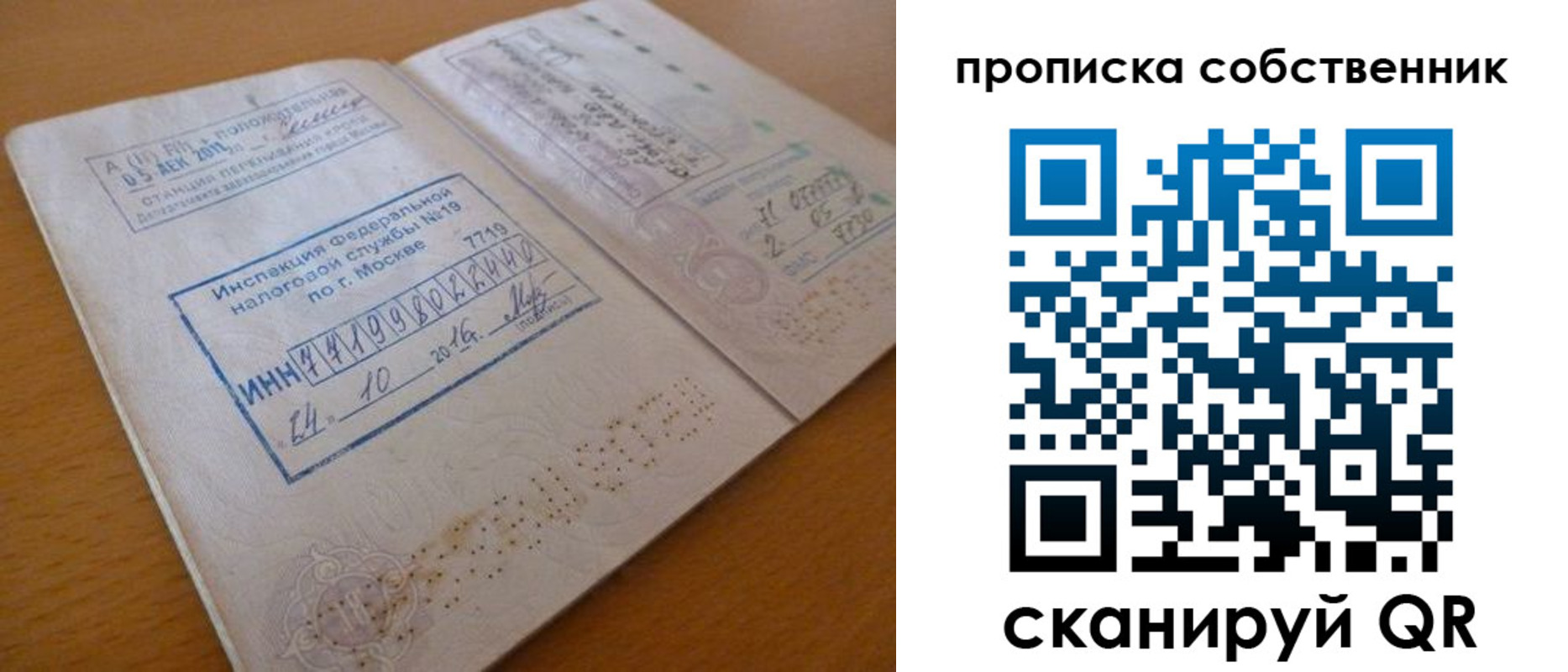 прописка для школы в Чистополье